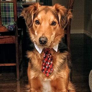 Meet your Posher, Jenny